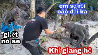 Kinh Hoàng Khỉ Giang Hồ | Taem Săn Bắt Ẩm Thực Vùng Cao Ra Trải Nghiệm Đảo Khỉ Cát Bà Hải Phòng