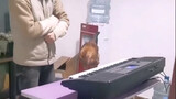 [Động vật]Một con gà chơi đàn organ điện tử