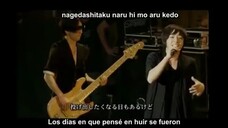 Stay Together LIVE sub-español SPYAIR JUST LIKE THAT