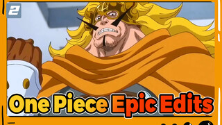 One Piece: Luffy the Great General of the Straw Hat Pirates + Chef -2