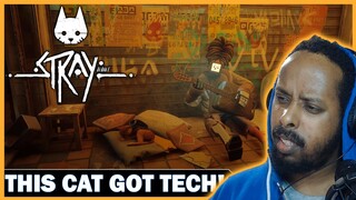 Stray - Gameplay Walkthrough Reaction