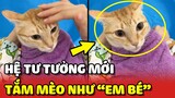 Vitamin Mèo - Hệ tư tưởng TẮM MÈO như tắm cho EM BÉ 😂 | Yêu Lu