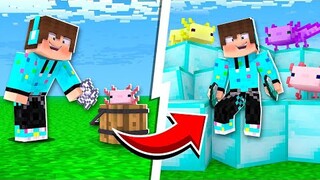 Minecraft Tapi Bonemeal Bisa Menggandakan Apapun Sampai Ngelag