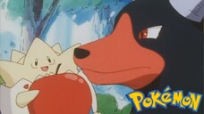 Pokémon Tập 182: Hellgar Và Togepy (Lồng Tiếng)