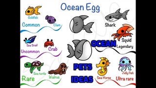 OCEAN EGG ADOPT ME ROBLOX - OCEAN PET IDEAS (SEA EGG) ; UPCOMING ADOPT ME UPDATE?