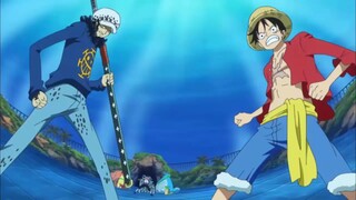 Chopper bị khống chế đánh nhau với Luffy và Law [AMV]