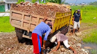 Mobil Truk Dump Muatan Berat Amblas, Truk Dump Bongkar Muatan!!