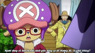 Onepiece movie: heart of gold p2 #animehaynhat