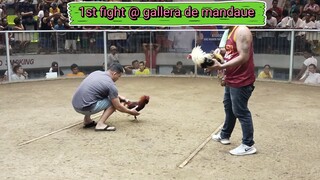 1st fight @ gallera de mandaue walang galos🫰