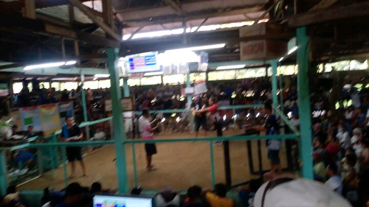 malatuba win.                orlac backyard