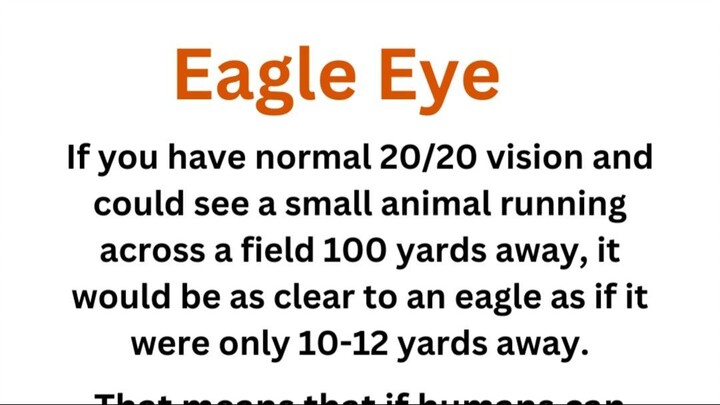 Eagle Eye (2)