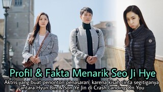 Profil & Fakta Menarik Seo Ji Hye Pemeran Seo Dan di Crash Landing On You