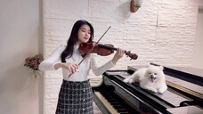 Queen of Tears/Queen of Tears "The Reasons of My Smiles" versi biola｜cover oleh Flute Player