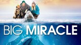 BIG MIRACLE | Family, Adventure, Drama