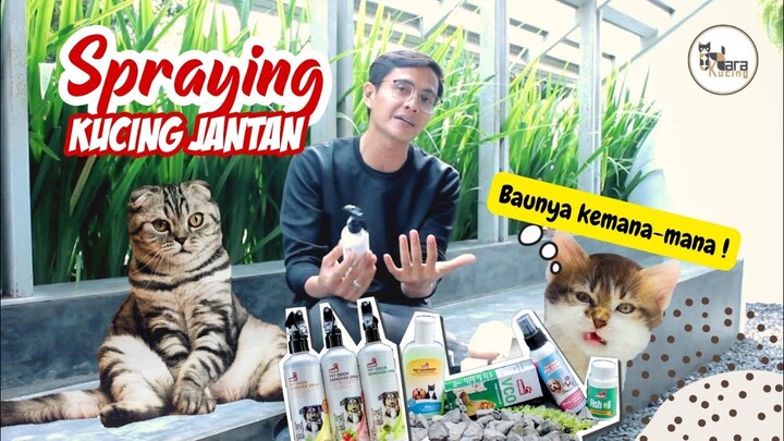 KUCING JANTAN PIPIS SEMBARANGAN RUANGAN JADI BAU BANGET [NOVAMOS PET ODOR REMOVER SPRAY]