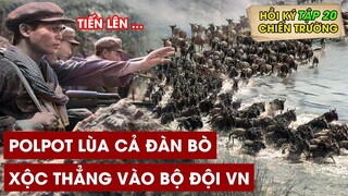 Đánh Không Lại VN, Polpot Lại Lùa Cả Ngàn Con Bò Để Thực Hiện Âm Mưu Này - Hồi Ký Chiến Trường K