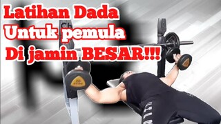 GERAKAN LATIHAN DADA UNTUK PEMULA, BEBAN RINGAN DIJAMIN OTOT BESAR & BULAT!!!