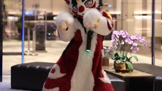 Still thinking about your first love? Then come in and have a look. Plush Little Dragon Dances the B