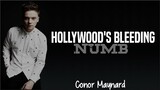 Post Malone - Hollywood's Bleeding (Conor Maynard cover)(Lyrics)