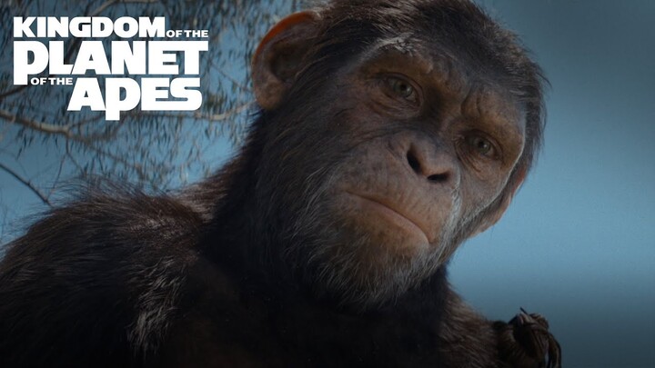 Kingdom of the Planet of the Apes | Buy it on digital July 9 and on Blu-ray™ August 27