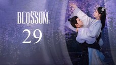 EP29 Blossom (2024)