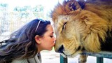 Cute Ways Animals Say “I Love You” -  Cute Animal Show Love To Their Human