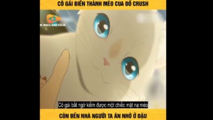 Review phim : Hóa Thân Thành Mèo Để Yêu Anh