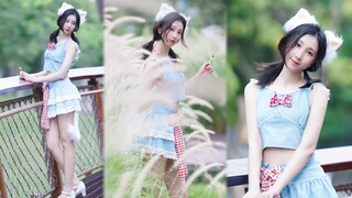 不要拒绝小猫咪嘛！nonono❤白色小尾巴！【雪一】