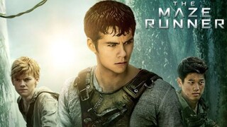 WATCH MOVEI:The Maze Runner 2014 trailer  :link in the  description: