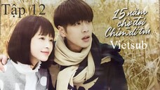 Mười Lăm Năm Chờ Đợi Chim Di Trú - Tập 12 | Vietsub