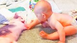 Baby and Cats Playing Together  -  Funny Baby and Pets Moments