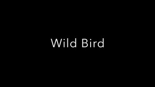 Will Ackerman, Jeff Oster & Tom Eaton - WILD BIRD