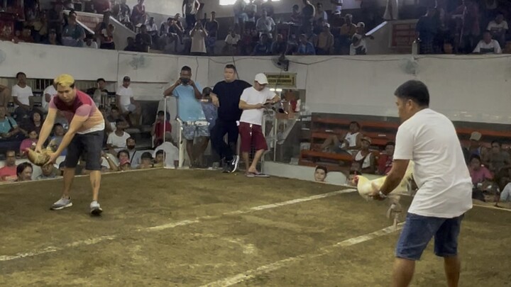 bulik win. maliit pero rumaratrat #dahonconnection