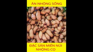 Nhộng cọ - Món ăn độc đáo của người Tày I Đắc Ku Người Rừng