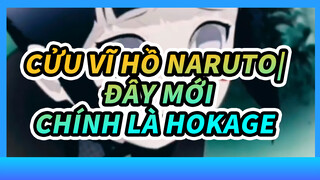 Cửu Vĩ Hồ NARUTO| Đây mới chính là Hokage