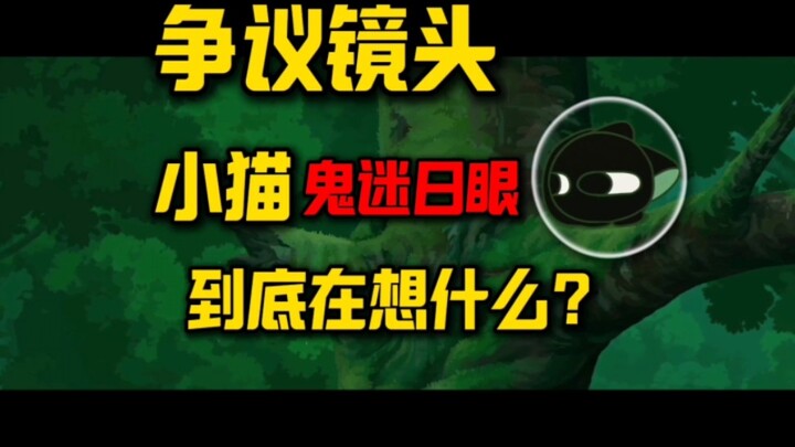 解答争议镜头！“鬼迷日眼”的小猫到底在想什么？