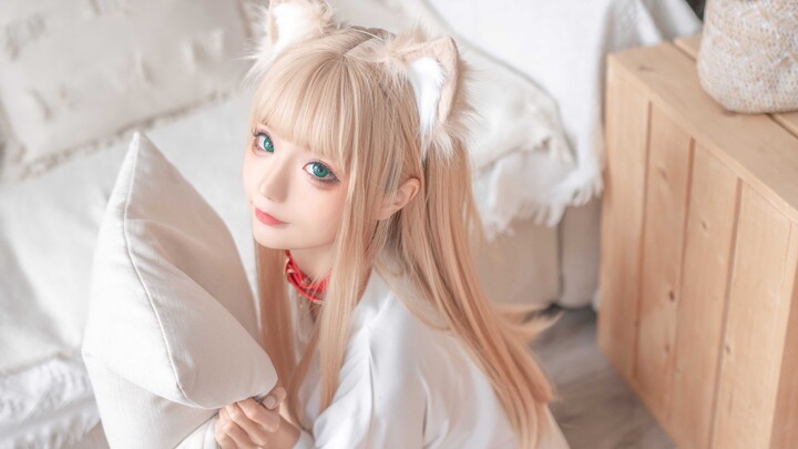 [Phong cách sống] Cosplay mèo dễ thương