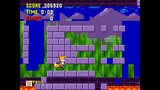 [TAS] [CamHack] Genesis Tails in Sonic The Hedgehog by marzojr in 13:21.87