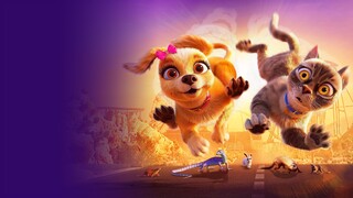 WATCH  Gracie & Pedro: Pets to the Rescue 2024 - Link In The Description