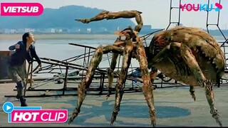 Cấp Cứu! Nhện Đột Biến Gen Trên Đảo Tấn Công Đoàn Người | Nhện Điên -  Crazy Spider | Phim Lẻ YOUKU