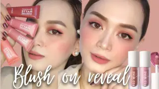 Best Affordable Blush On | Blush On Reveal