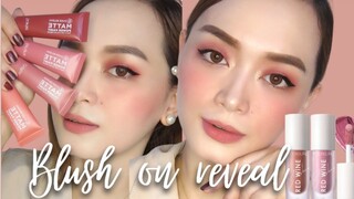 Best Affordable Blush On | Blush On Reveal