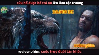 Cứu Hổ được Hổ trả Ơn - Review phim Cuộc Truy Đuổi Tàn Khốc