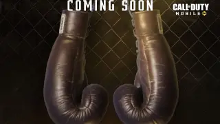 *BOXING GLOVES* COMING SOON