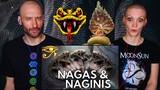 Nagini and Naga Explained | Mythology REACTION