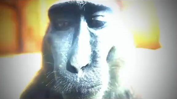 onggoy movie