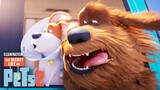 The Secret Life Of Pets 2 - Watch Full Movie : Link In Description