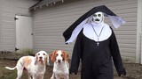 Dogs vs THE NUN Prank: Can These Funny Dogs Stop Devil Nun Valak?