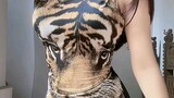 enak di pandang harimau nya#senamsehat #bikinpusing #kepala #like_comment_share