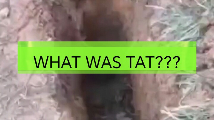 WHAT WAS TAT????